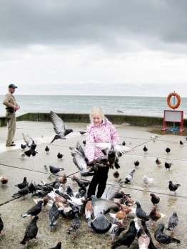 Всероссийские выездные семинары 33