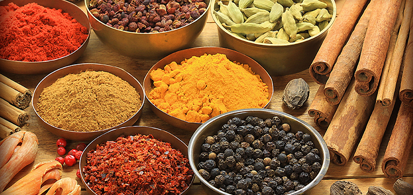 Аюрведа – древняя наука для современной жизни