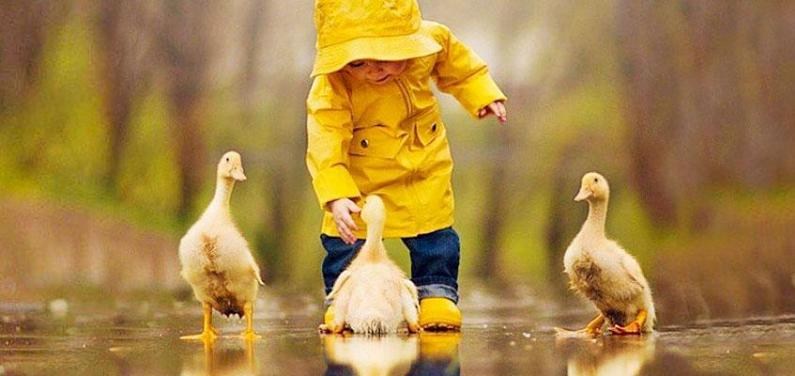 Ребенок с утками