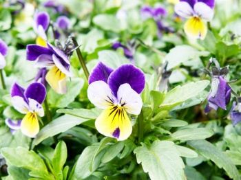 Всероссийские выездные семинары 10