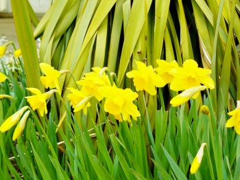 Всероссийские выездные семинары 32