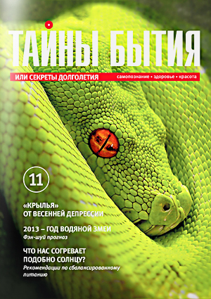 Журнал «Тайны бытия» №11