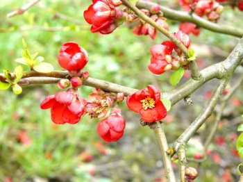 Всероссийские выездные семинары 23