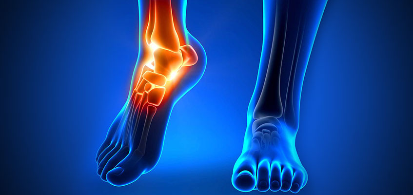 Строение голеностопа