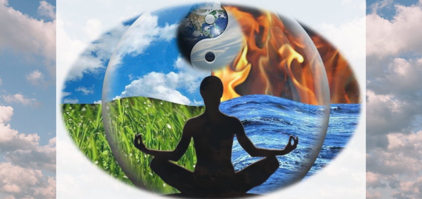 традиционная китайская медицина диагностика