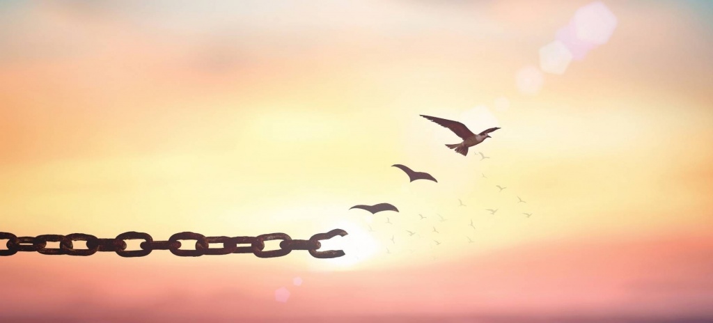 Цепь и птицы