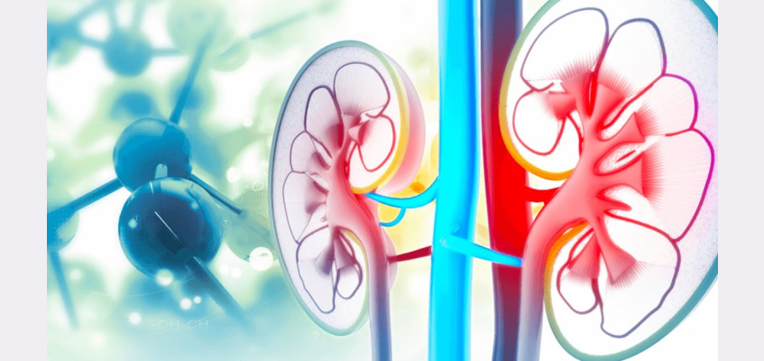 нефропатия это