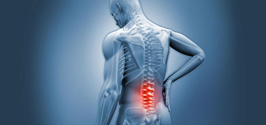 Область позвоночника