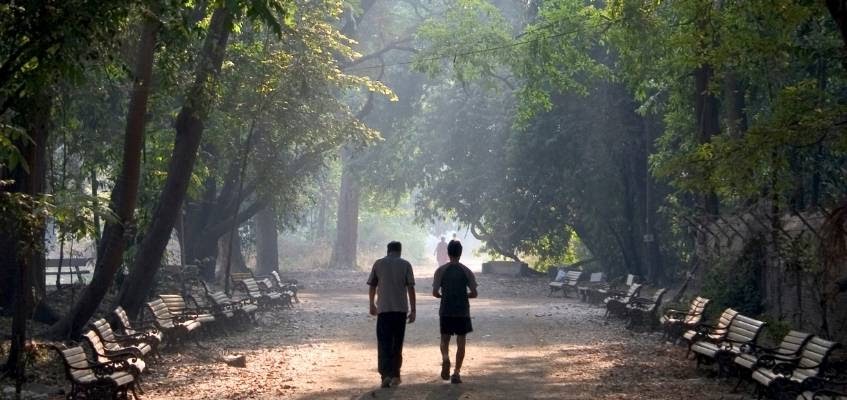 Прогулка по парку