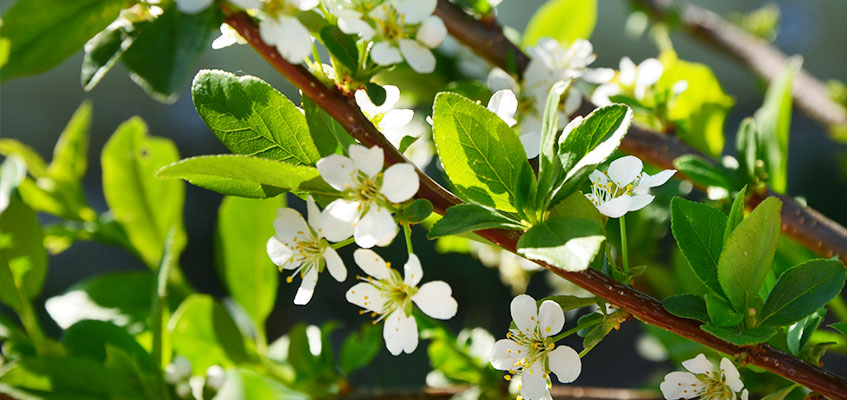 Окунево_2020_2_3.jpg Окунево_2020_2_3.jpg