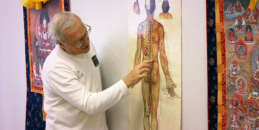 Строение человека