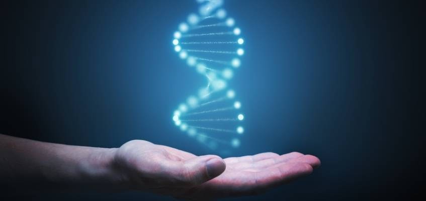 Даже ДНК имеет вихри ДНК