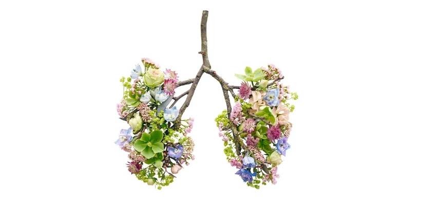 Легкие из цветов