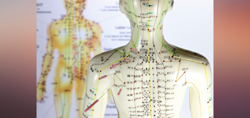 диагностика меридианов