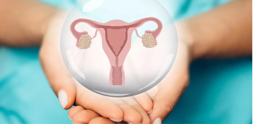 женские болезни по гинекологии