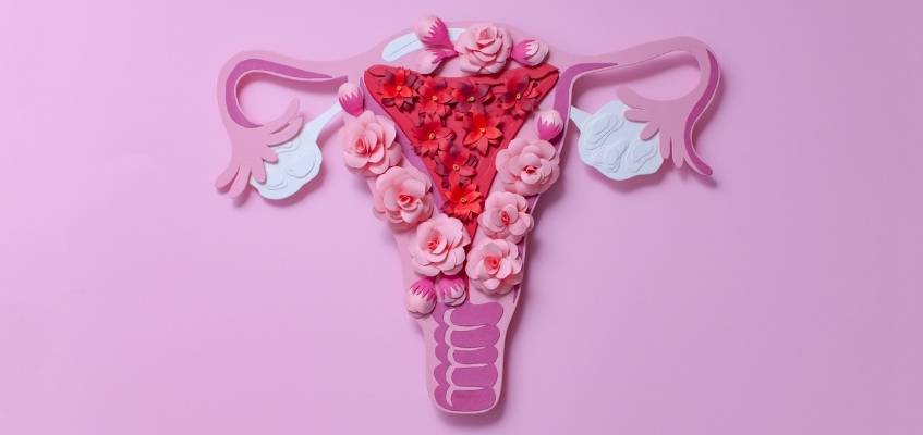 Строение матки из цветков