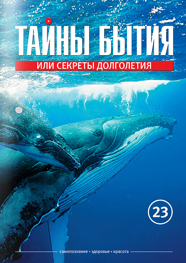 zhurnal23_600х848.jpg zhurnal23_600х848.jpg