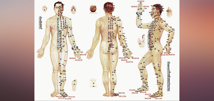 диагностика меридианов человека