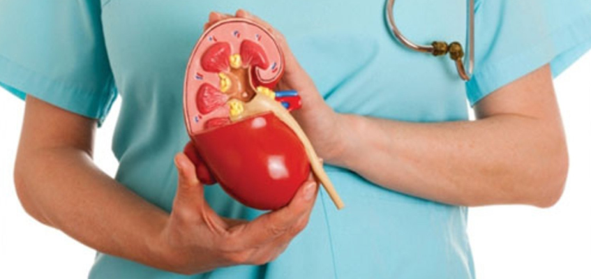 нефротический синдром что это такое