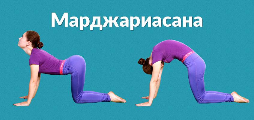 Марджариасана
