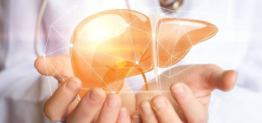 Печень в руках врача
